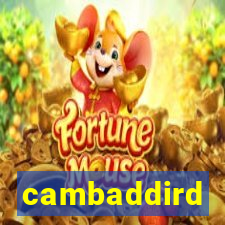 cambaddird