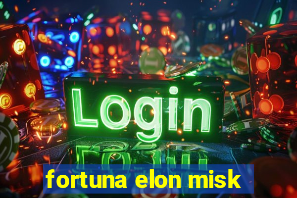 fortuna elon misk