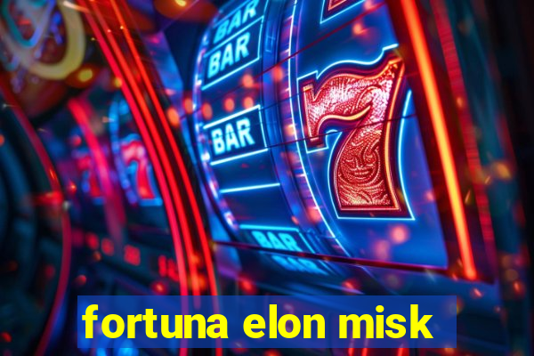 fortuna elon misk