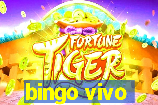 bingo vivo