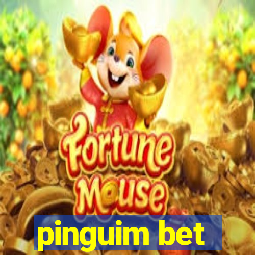 pinguim bet