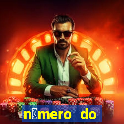 n煤mero do bate-papo da vivo