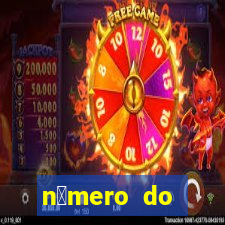 n煤mero do bate-papo da vivo