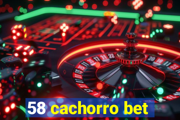 58 cachorro bet