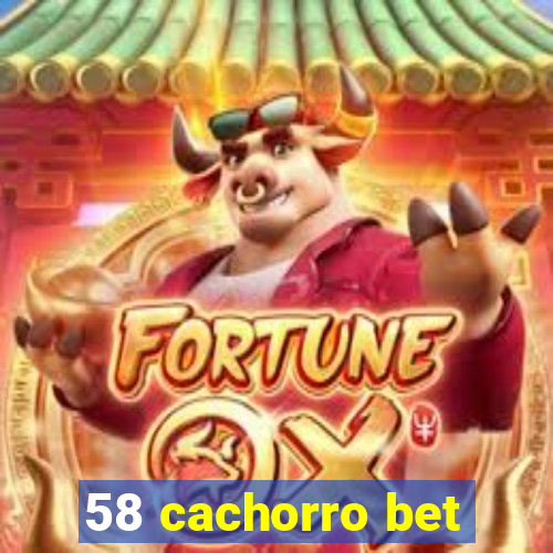 58 cachorro bet