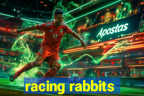 racing rabbits