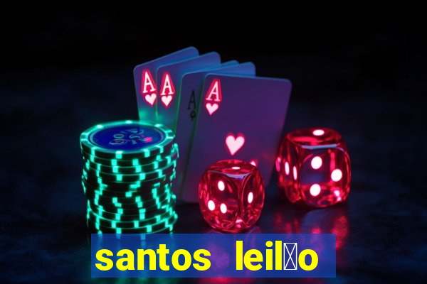 santos leil茫o passo fundo