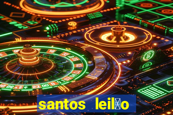 santos leil茫o passo fundo