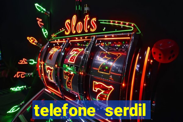 telefone serdil porto alegre