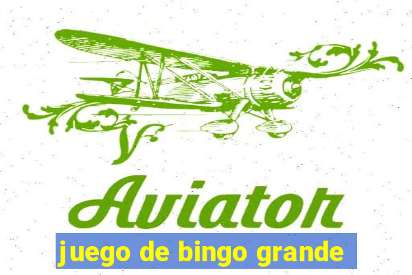 juego de bingo grande