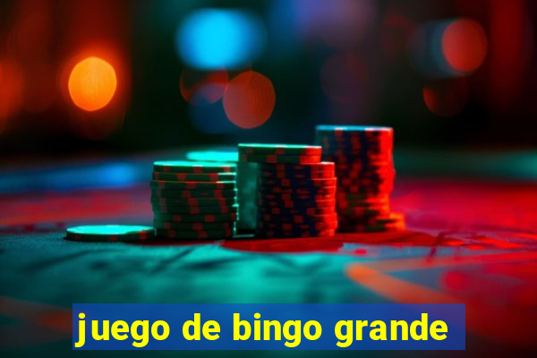 juego de bingo grande