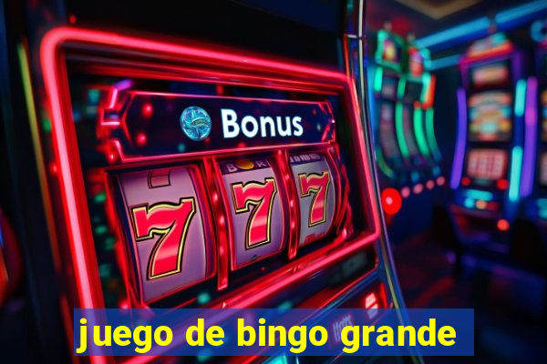 juego de bingo grande