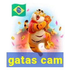 gatas cam