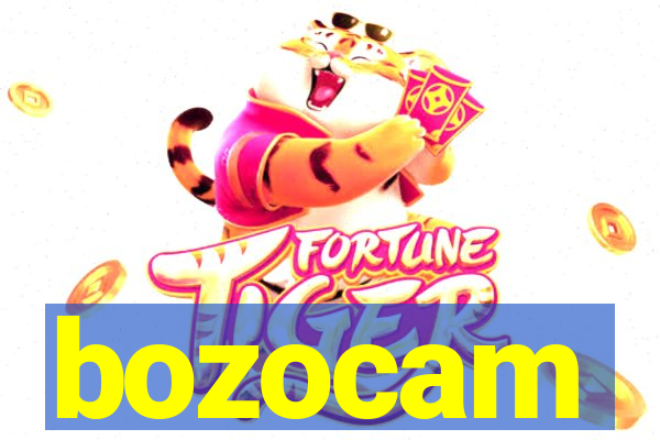 bozocam