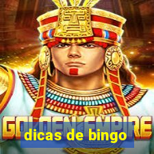 dicas de bingo