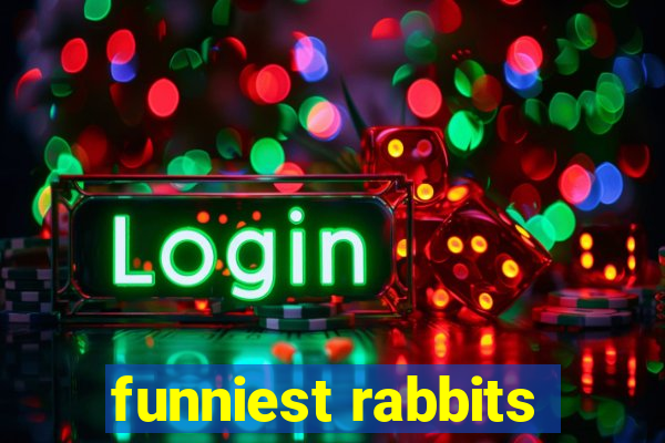 funniest rabbits