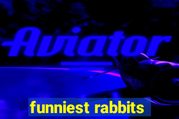 funniest rabbits