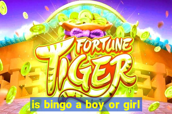 is bingo a boy or girl