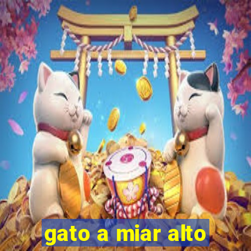 gato a miar alto