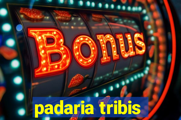 padaria tribis