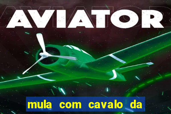 mula com cavalo da o que