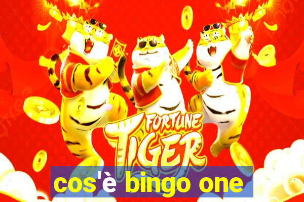 cos'è bingo one