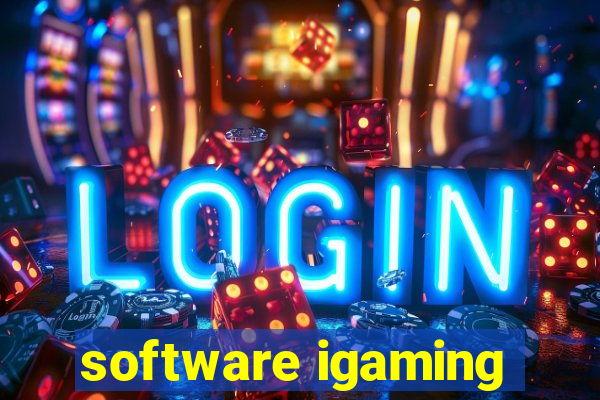 software igaming