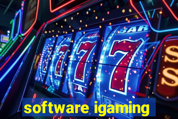 software igaming