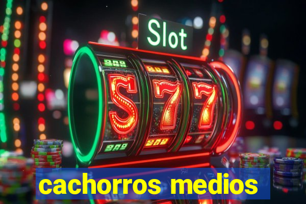 cachorros medios