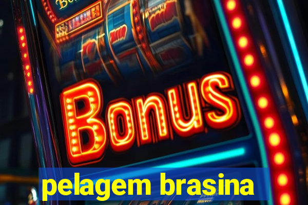 pelagem brasina