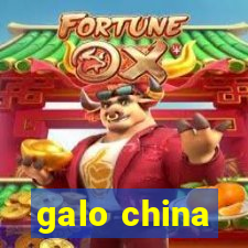 galo china