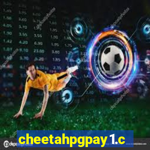 cheetahpgpay1.com