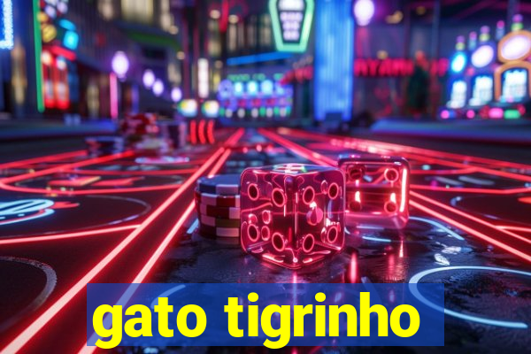 gato tigrinho