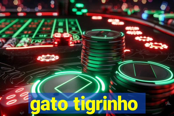 gato tigrinho