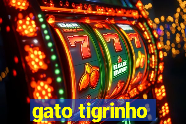 gato tigrinho