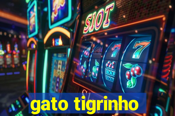 gato tigrinho