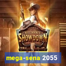 mega-sena 2055