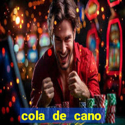 cola de cano quanto tempo para secar