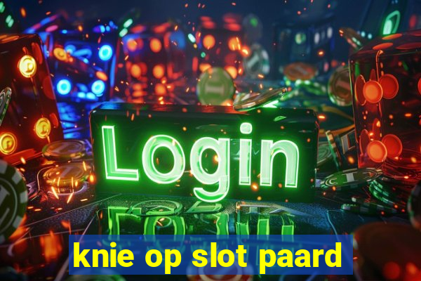 knie op slot paard