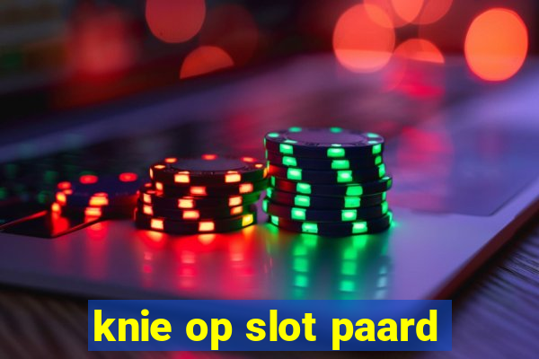 knie op slot paard