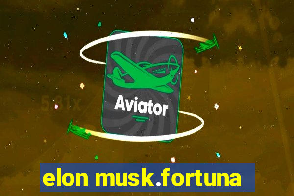 elon musk.fortuna