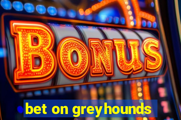 bet on greyhounds