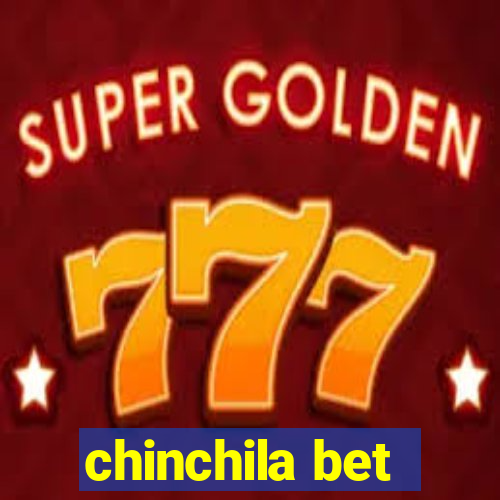 chinchila bet