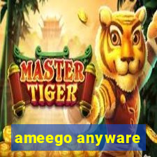 ameego anyware