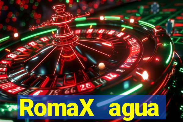 RomaX agua sanitaria fispq agua sanitaria romax