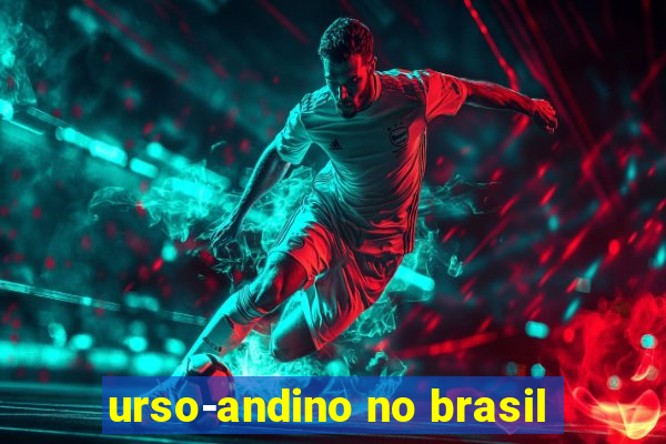 urso-andino no brasil