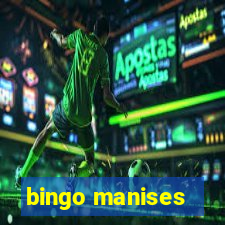 bingo manises