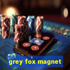 grey fox magnet