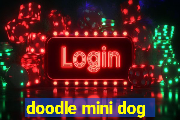 doodle mini dog