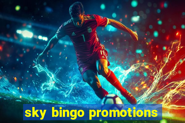 sky bingo promotions